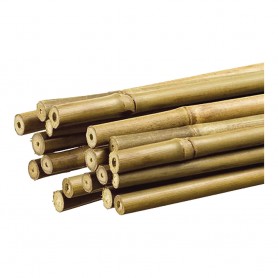 Tutor de bambú decorativo color natural ø1,1cm x1,20m nortene