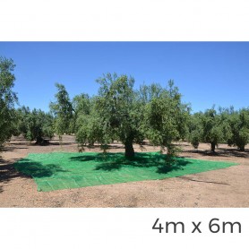 Manto para recolecta de frutos 4x6m color verde