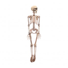 Figura esqueleto halloween 90cm