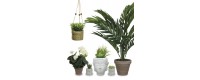 Plantas artificiales interior