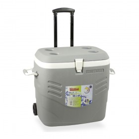 Nevera rígida premium 41l. gris hidalgo